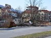 МВР: Усложнена е обстановката в София и Враца заради силния вятър