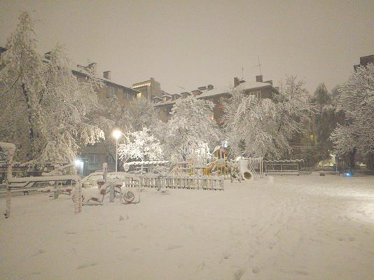 София след силния снеговалеж
Снимка: Георги Кюрпанов - Генк