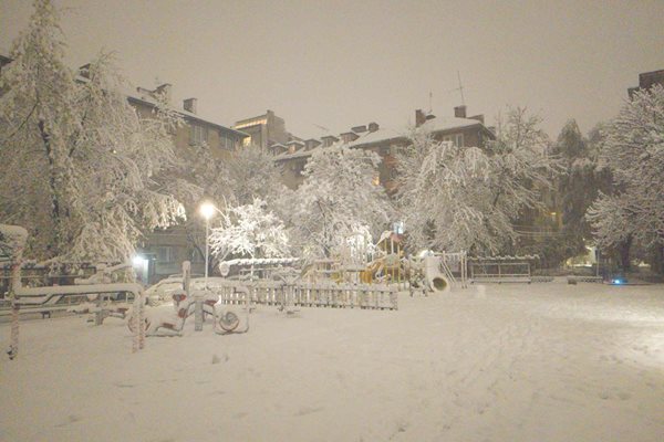 София след силния снеговалеж
Снимка: Георги Кюрпанов - Генк