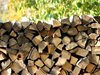 Спипаха мъж и жена, отсекли престъпно 20 кубика дърва за огрев в Павликенско