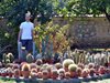Търновецът Веселин Стойчев гледа най-възрастния кактус в България
