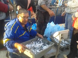За риба с Цанко: Чернокопът тази година ще е в пристанищата