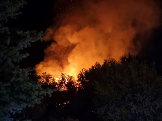 Криминалисти подозират, че пожарът е в следствие на палеж.