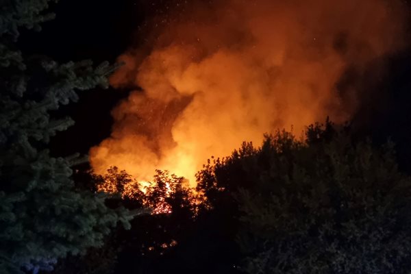 Криминалисти подозират, че пожарът е в следствие на палеж.