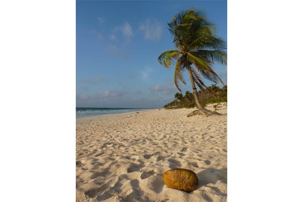 „Ривиерата на маите”, всъщност, е туристическото наименование на източната плажна ивица на полуостров Юкатан.