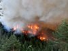 Голям горски пожар избухна в Ардинско (снимки)