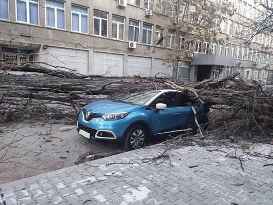 Вижте какви щети нанесе ураганният вятър в София (Обновена, снимки)