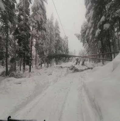 Снимки: Пресцентър на Електрохолд.