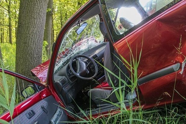 Жена се блъсна в крайпътно дърво в Плевенско, загина пътникът в автомобила