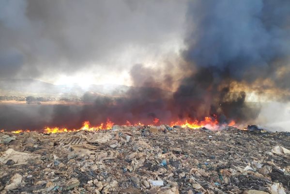 Пожарът е обхванал площ от около 15-16 дка. Снимка: Регионална дирекция "Пожарна безопасност и защита на населението"-Пловдив