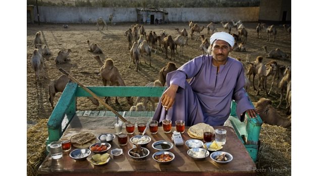 Сале Абдул Фадлили, продавач на камили от Кайро, Египет. Снимки: menzelphoto.photoshelter.com