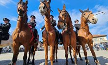 Виж как Конната полиция отбеляза празника (Снимки)