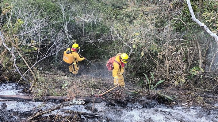 Перуански пожарникари се борят да овладеят горския пожар край руините на Мачу Пикчу.