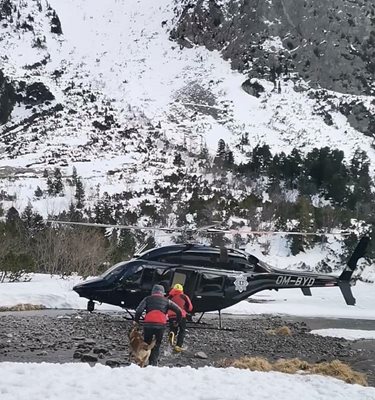 Четирима планински спасители, водачи на кучета, са на курс в Словакия. СНИМКИ:  ПСС