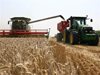 Украйна разчита да изнася жито през Румъния, очаква ЕС да съхрани реколтата