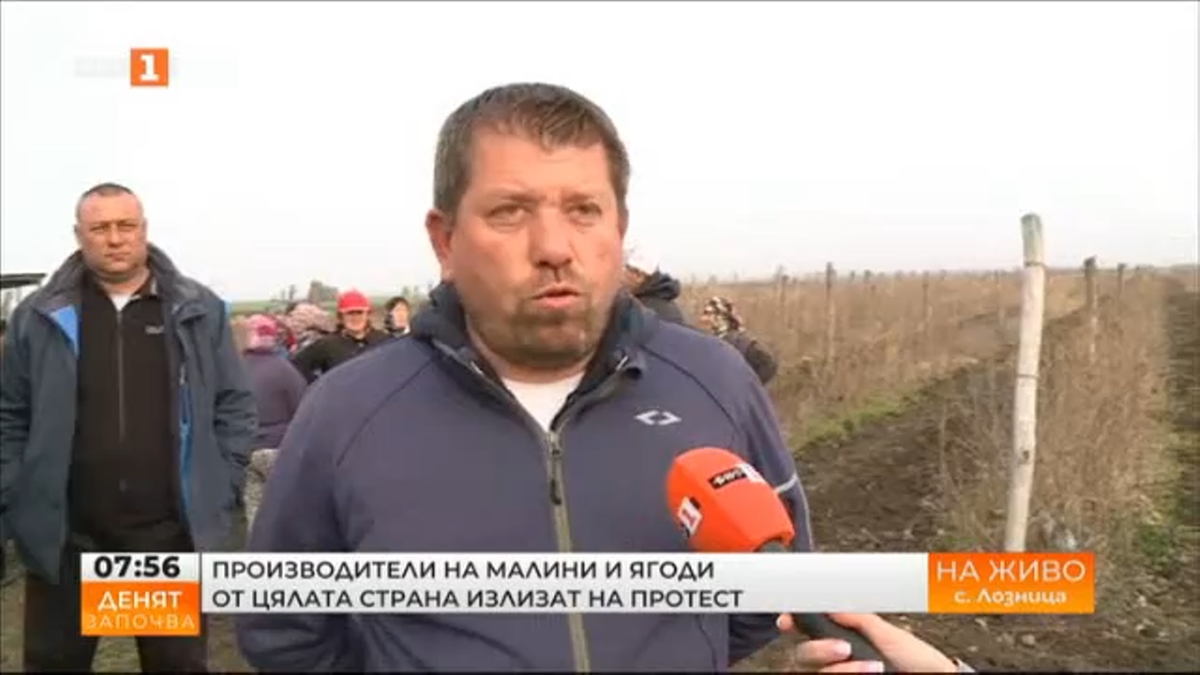 Протест на производители на малини и ягоди ще блокира пътя Разград - Търговище
