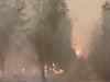 Горски пожари в Русия, хиляди пожарникари ги потушават (Видео)