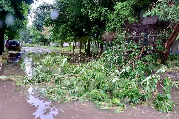 Над 160 са сигналите за паднали дървета по време на бурята в Русе.