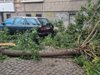 53 сигнала за поражения от вятъра получени в Пожарната в Пловдив