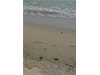 Проверка: Строежите на Офицерския плаж във Варна са законни