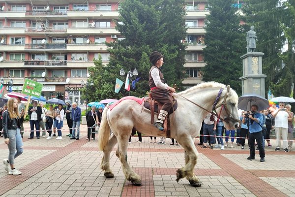 Зетьове и кандидат-зетьове се придвижваха на коне, самосвали, камиончета, мотори и АТВ-та, или пък пеша