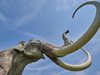 Израелски археолози откриха съд от слонова кост отпреди 6000 години