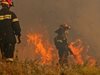 Пожарът край парк „Ормана“ в Ямбол е локализиран