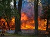 Паднало дърво предизвика пожара в Кресненското дефиле, хора гасят огъня ръчно