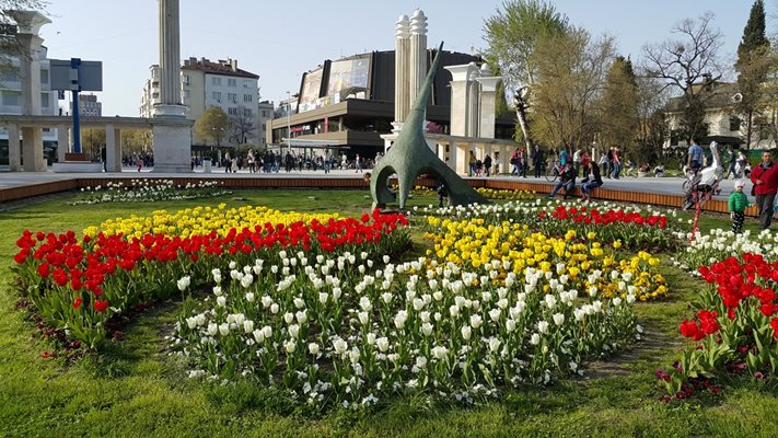 Благотворителна инициатива набира пари за лекарства за бесарабските българи на фронта