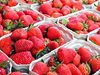 Как да се възползваме 100% от ягодите - съвети от д-р Райна Стоянова