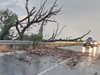 Дърво се скърши на Околовръстното на Пловдив