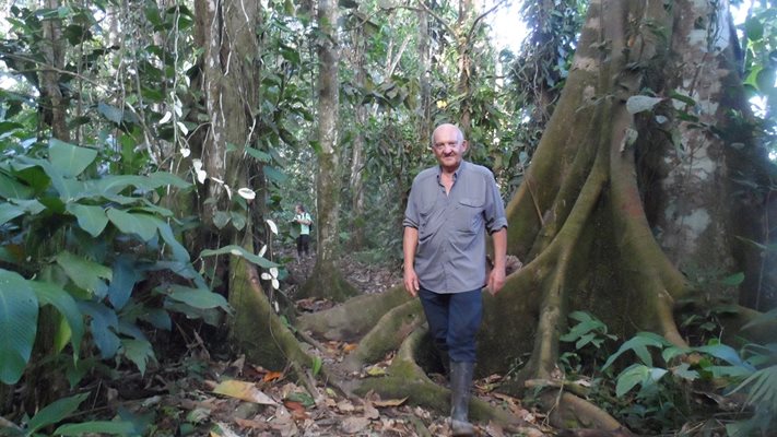 Разходка в дебрите на гъстата екваториална джунгла