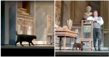(ВИДЕО) Черна котка играе главната роля в оперен спектакъл