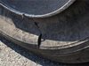 Апаши нарязали гумите на две коли във Вършец
