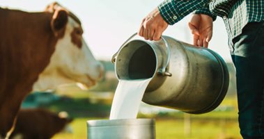 Евтино мляко от фермата - скъпи млечни продукти на рафта