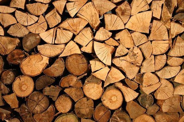 Цените на кубик на дървата за огрев достигна до 200 лева СНИМКА: Pixabay