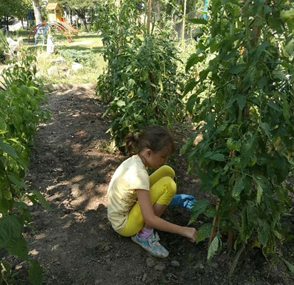 В двора на училището има опитно поле, където децата се учат сами да отглеждат цветя, плодове и зеленчуци