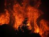 Гръцки министър: Пожарите на Закинтос са дело на подпалвачи
