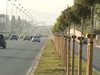 Вандали отсякоха дръвчета за хиляди на Околовръстното в София (Видео)