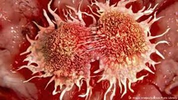 Конспиративни теории за рака