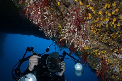 Хоаким Гарабу се гмурка на места в Средиземно море, където е поставил маркери, за да види къде има останали колонии от корали.
СНИМКА: ЛИЧЕН АРХИВ