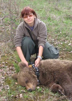 Доц. Златанова е специалист по мечки, вълци и рисове