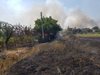 Военни се включиха в гасенето на пожара в Бургаско