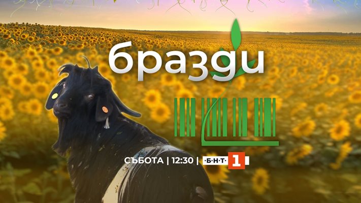 Легендарните "Бразди" се завръщат с 62-и сезон по БНТ