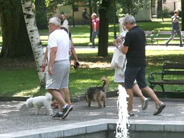 Собствениците на домашни любимци в Пловдив ще могат да си поемат въздух - няма да бързат за 7 дни да регистрират кучетата си.