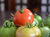 Плодовете и зеленчуците на едро поевтиняват