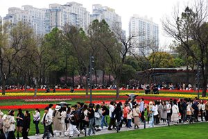 Шанхай отчете близо 326 млн. туристи за 2023 г.