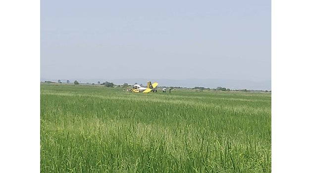 Падналият самолет пръскал оризищата в землището на радневското село Землен по договор с местна земеделска кооперация.
Снимка: Ваньо Стоилов