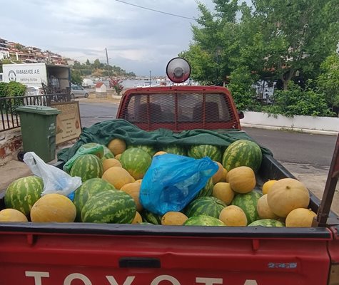 Важното е, че има дини и пъпеши, гледа от ведрата страна на нещата Пламен Недялков.