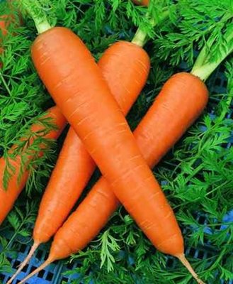 Морковите също бележат ръст в цената